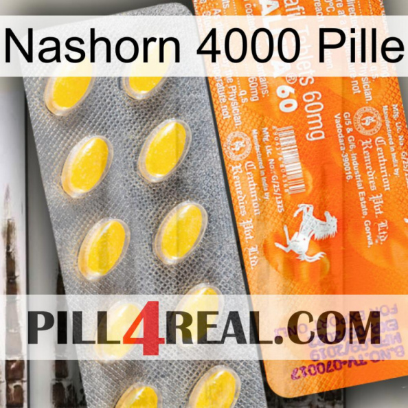 Rhino 4000 Pill new05.jpg